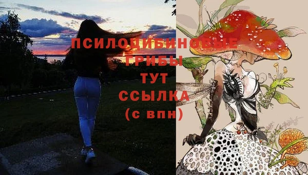 амф Богородск